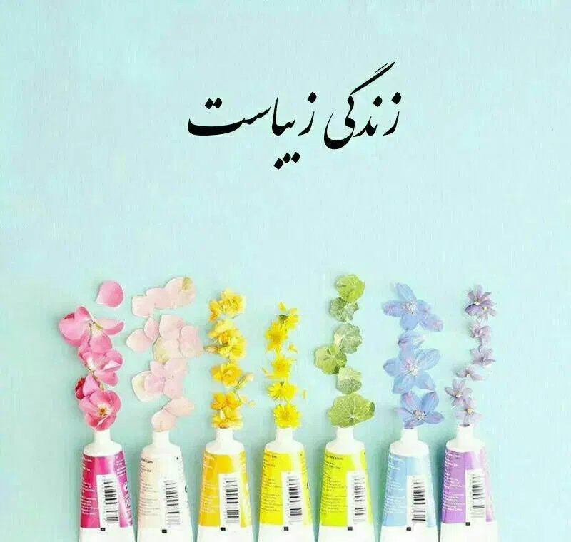 فلش 16 گیگ verity|لوازم جانبی موبایل و تبلت|تربت‌حیدریه, قائم|دیوار