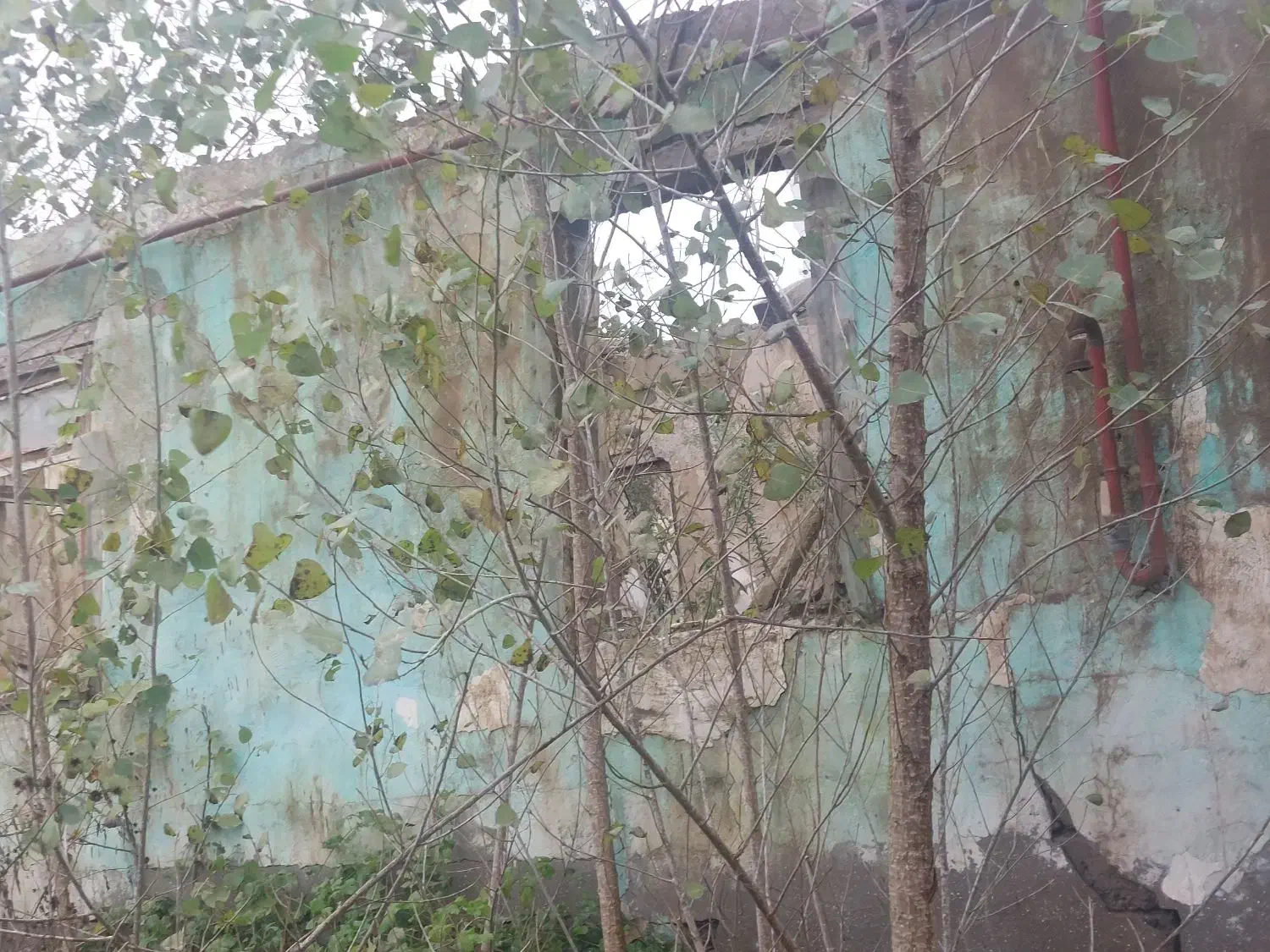 ۶۰۰‌متری‌لولمان ‌چهارده|فروش خانه و ویلا|بابل, |دیوار