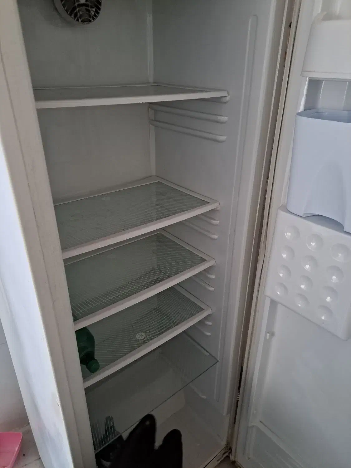 فقط یخچال|یخچال و فریزر|باوی, |دیوار