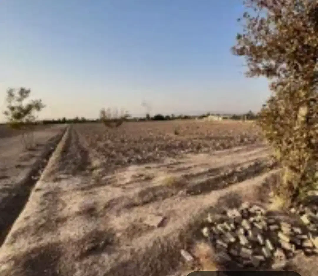 زمین زراعی قابلیت گلخانه سند تک برگ پاکدشت فیلستان|فروش زمین و ملک کلنگی|پاکدشت, پاکدشت (مامازند)|دیوار