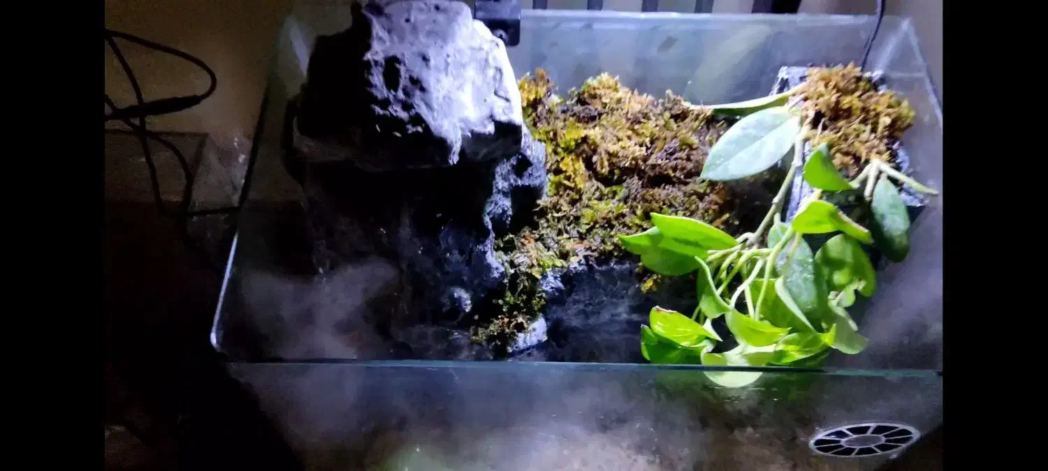 آکواریوم ، پالوداریم|ماهی|قم, شهرک توانیر|دیوار