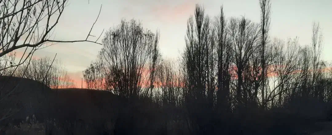 برگ سبز|اشیا|ساوه, |دیوار