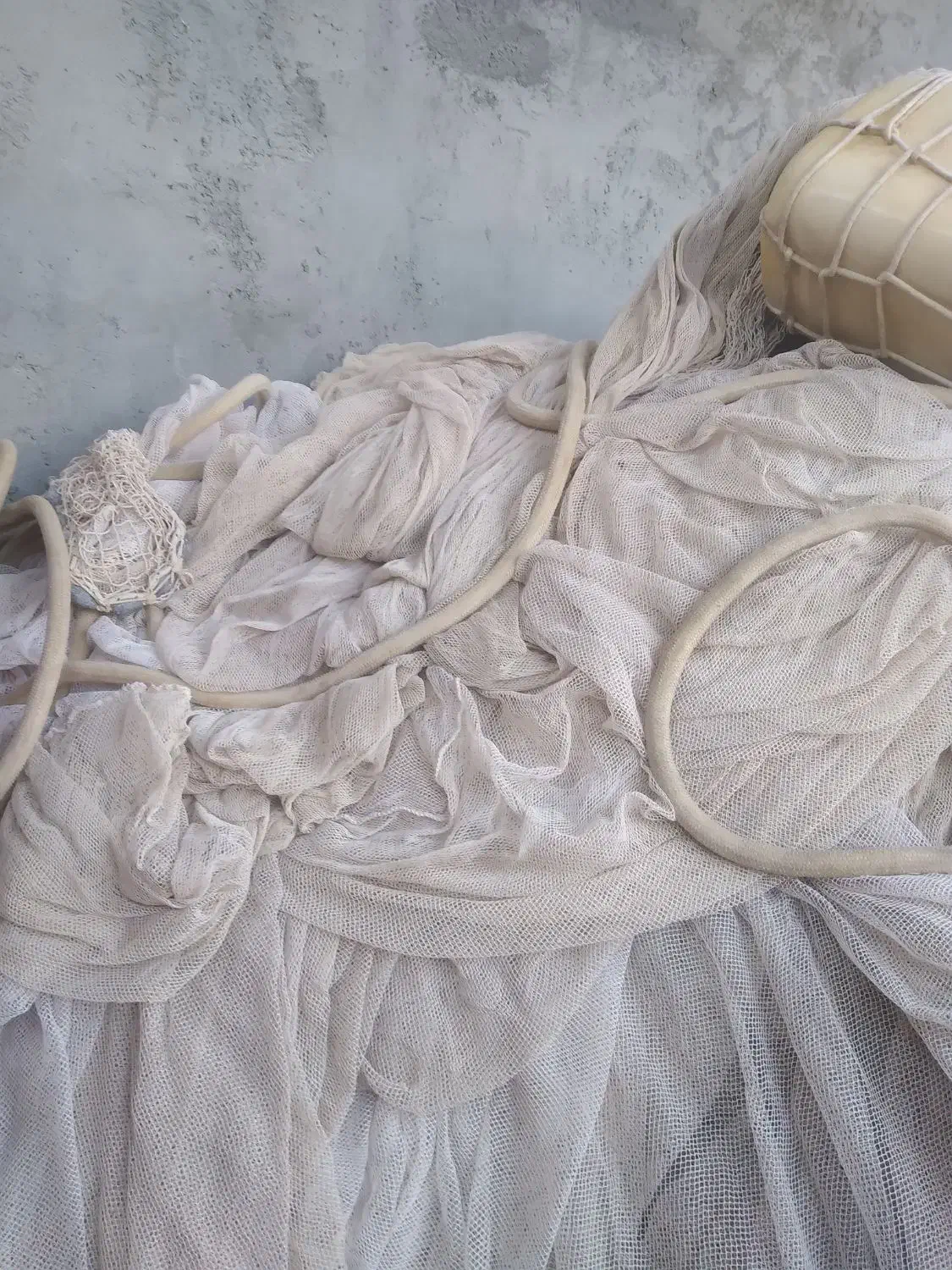 جل کاشغی نو|ماهیگیری|قشم, |دیوار