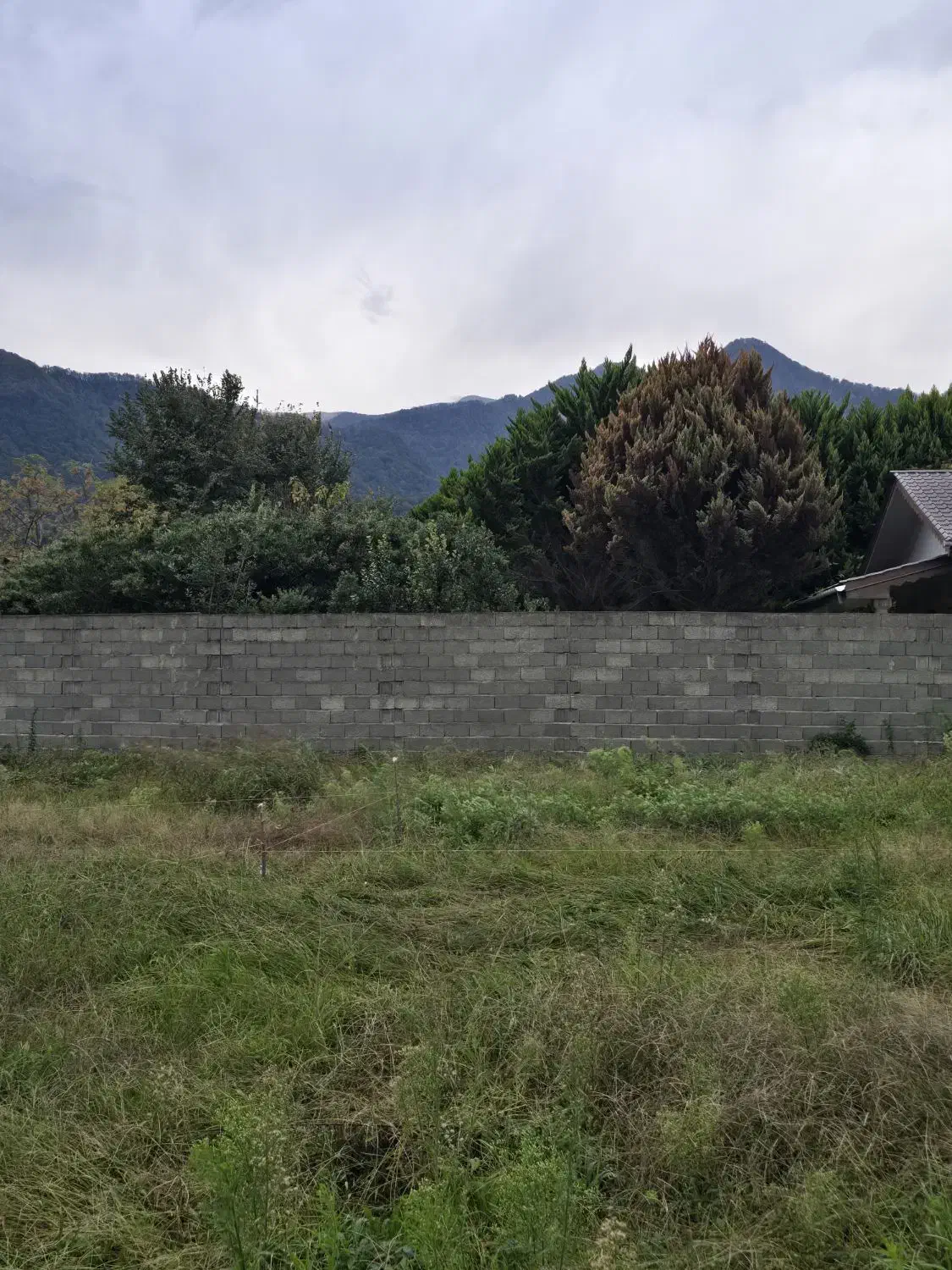 فروش زمین های داخل طرح باغی به متراژ های مختلف|فروش زمین و ملک کلنگی|چابکسر, |دیوار