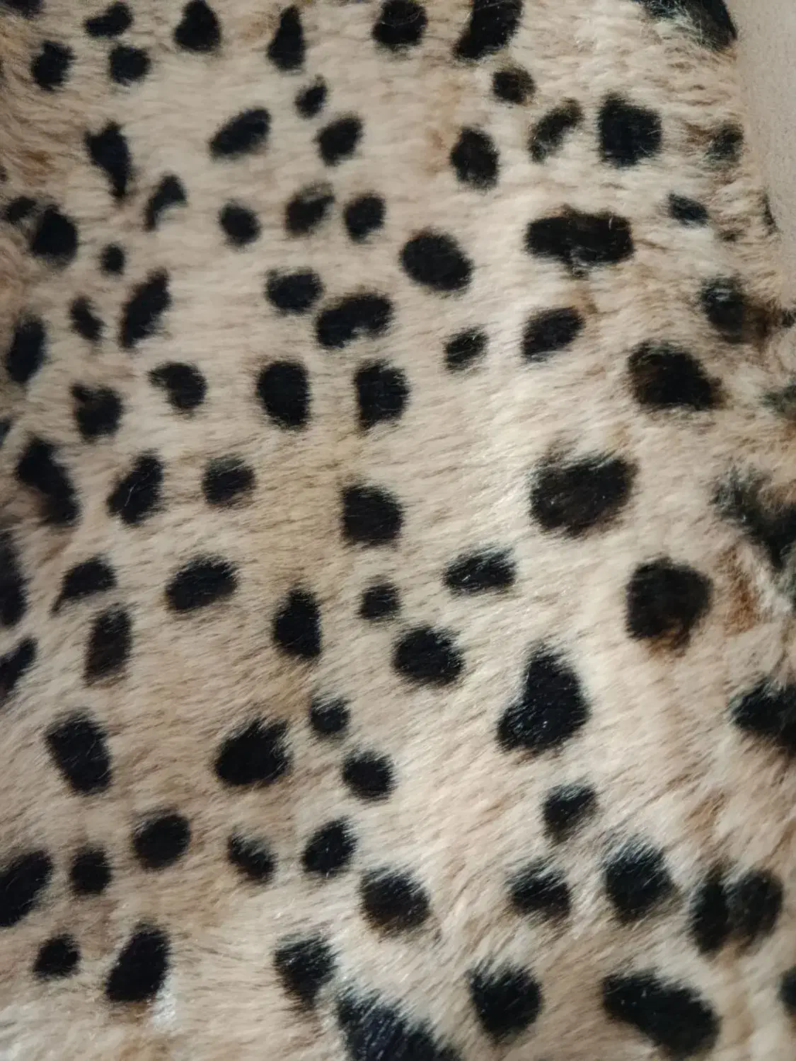 پاییزی|لباس|یزد, |دیوار