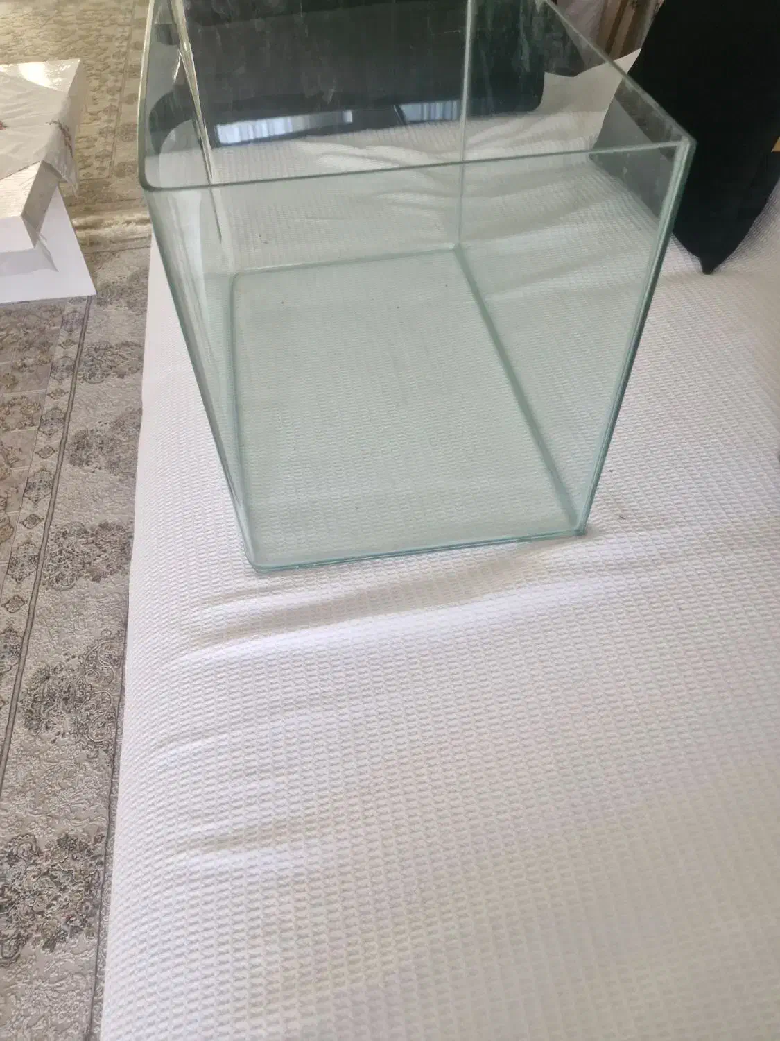 اکواریوم|ماهی|کرج, شهرک فهمیده|دیوار