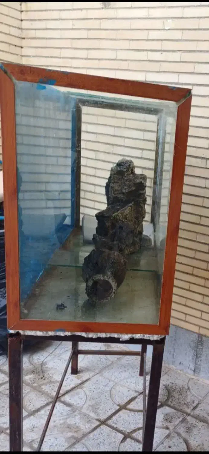 آکواریوم بزرگ باسنگ قیمت توافقی|ماهی|جم, |دیوار