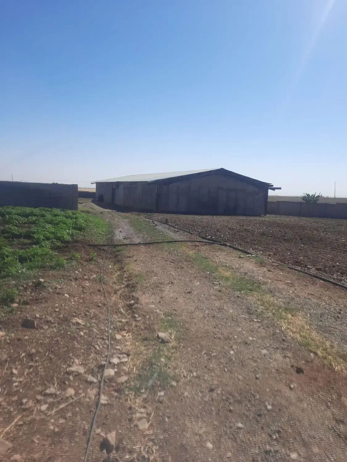 اجاره سوله 360 متری|اجارهٔ دفتر صنعتی، کشاورزی، تجاری|دهگلان, |دیوار