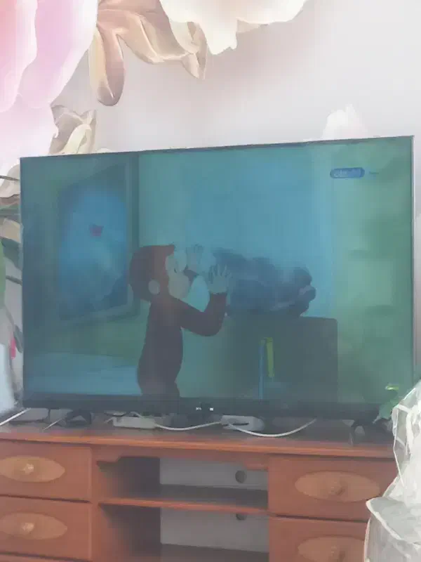 فروش ویژه وفوری یک عدد تلویزیون xویژن ۵۵ اینچ|تلویزیون و پروژکتور|نیشابور, میدان حافظ|دیوار