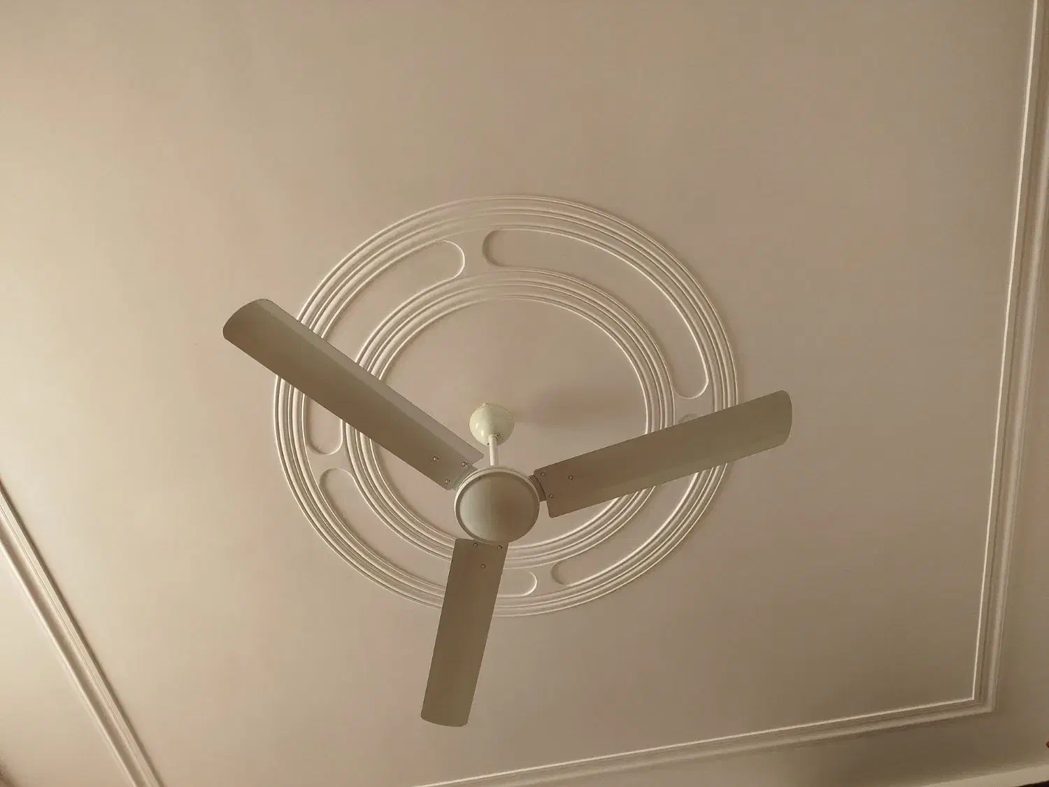 پنکه سقفی نو|پنکه و تصفیهکنندهٔ هوا|جهرم, |دیوار