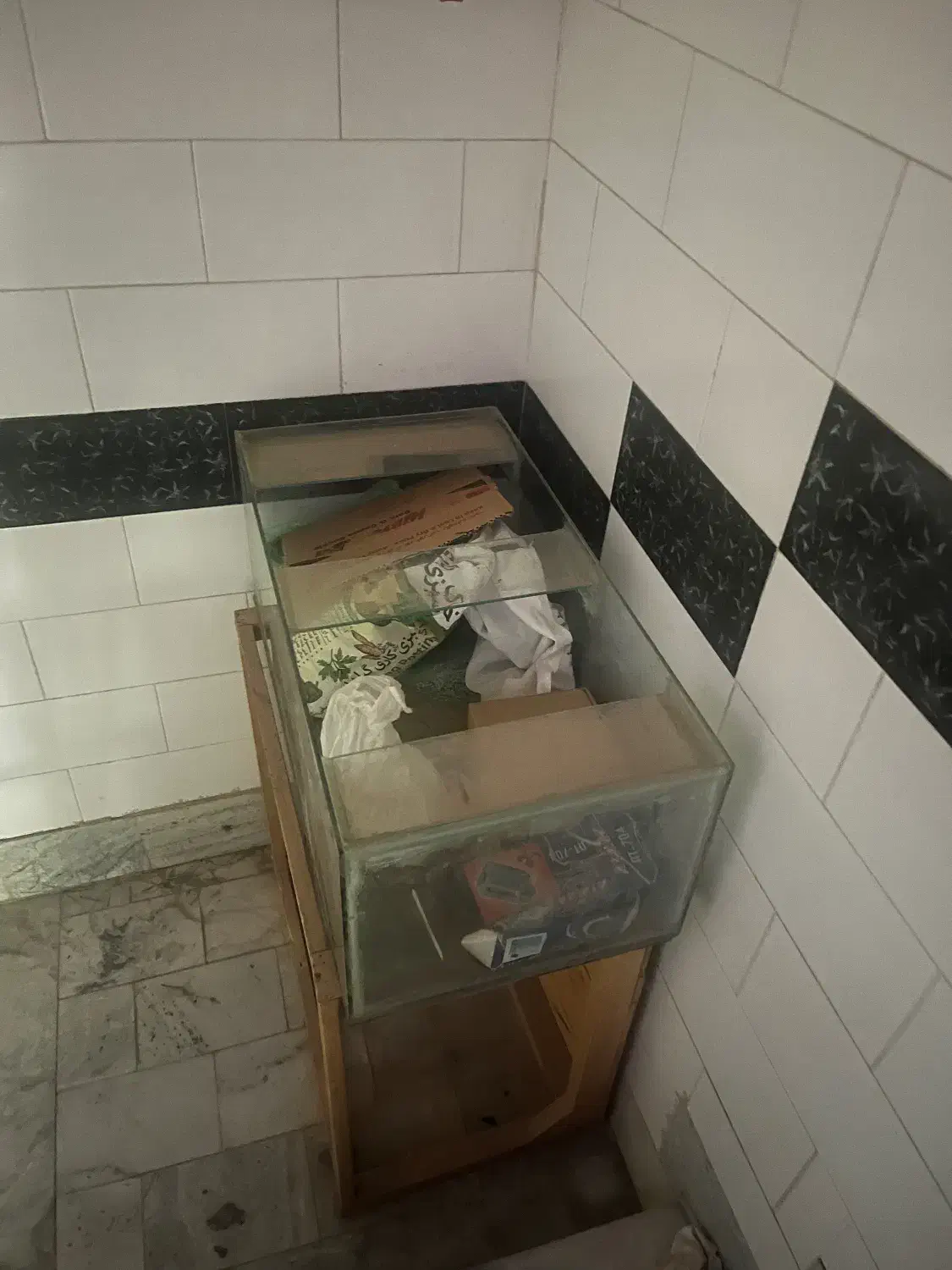 اکواریوم|ماهی|کرج, عظیمیه|دیوار