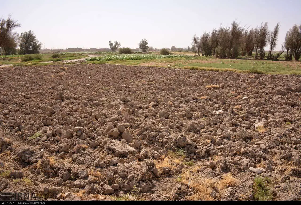 زمین زراعی|فروش دفتر صنعتی، کشاورزی، تجاری|رودان, |دیوار
