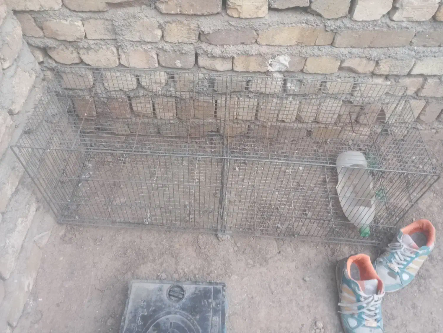 قفس کفتر مرغ عشق|لوازم جانبی حیوانات|الوند, |دیوار