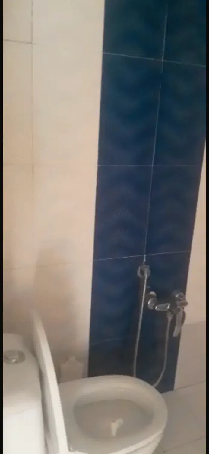 توالت فرنگی مروارید و عظیمی|لوازم سرویس بهداشتی|گرمدره, |دیوار