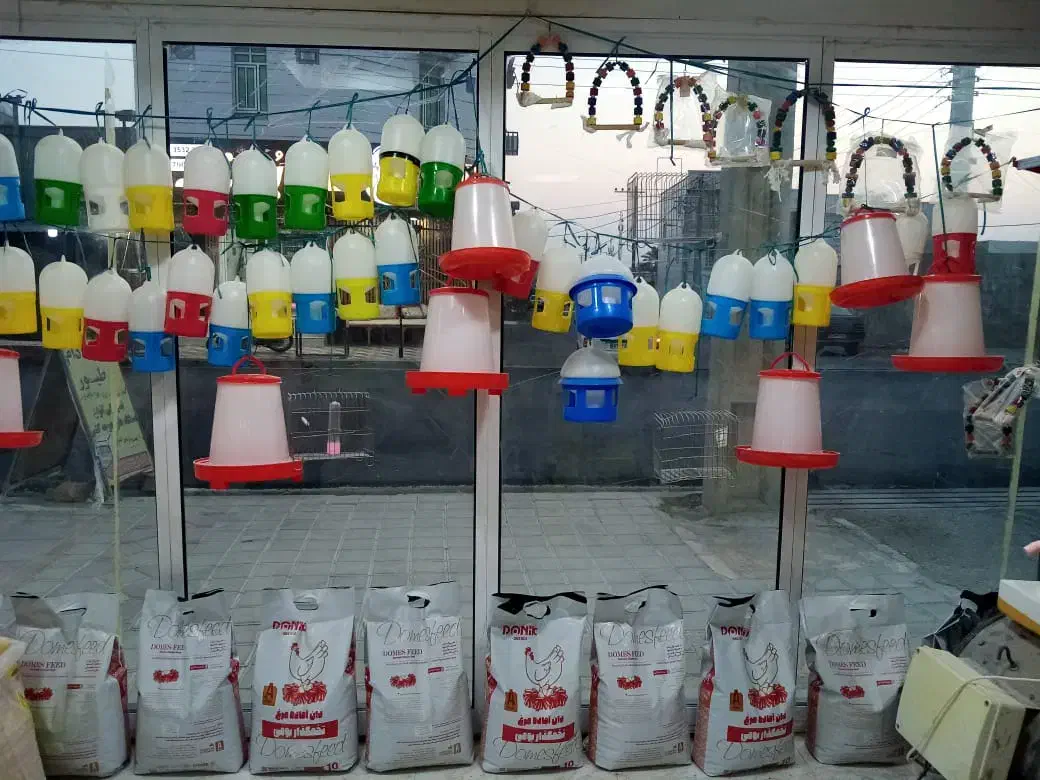 خوراک دام وطیور  دان پرسی  مرغ جوجه ومخلوطی خورموج|لوازم جانبی حیوانات|خورموج, |دیوار