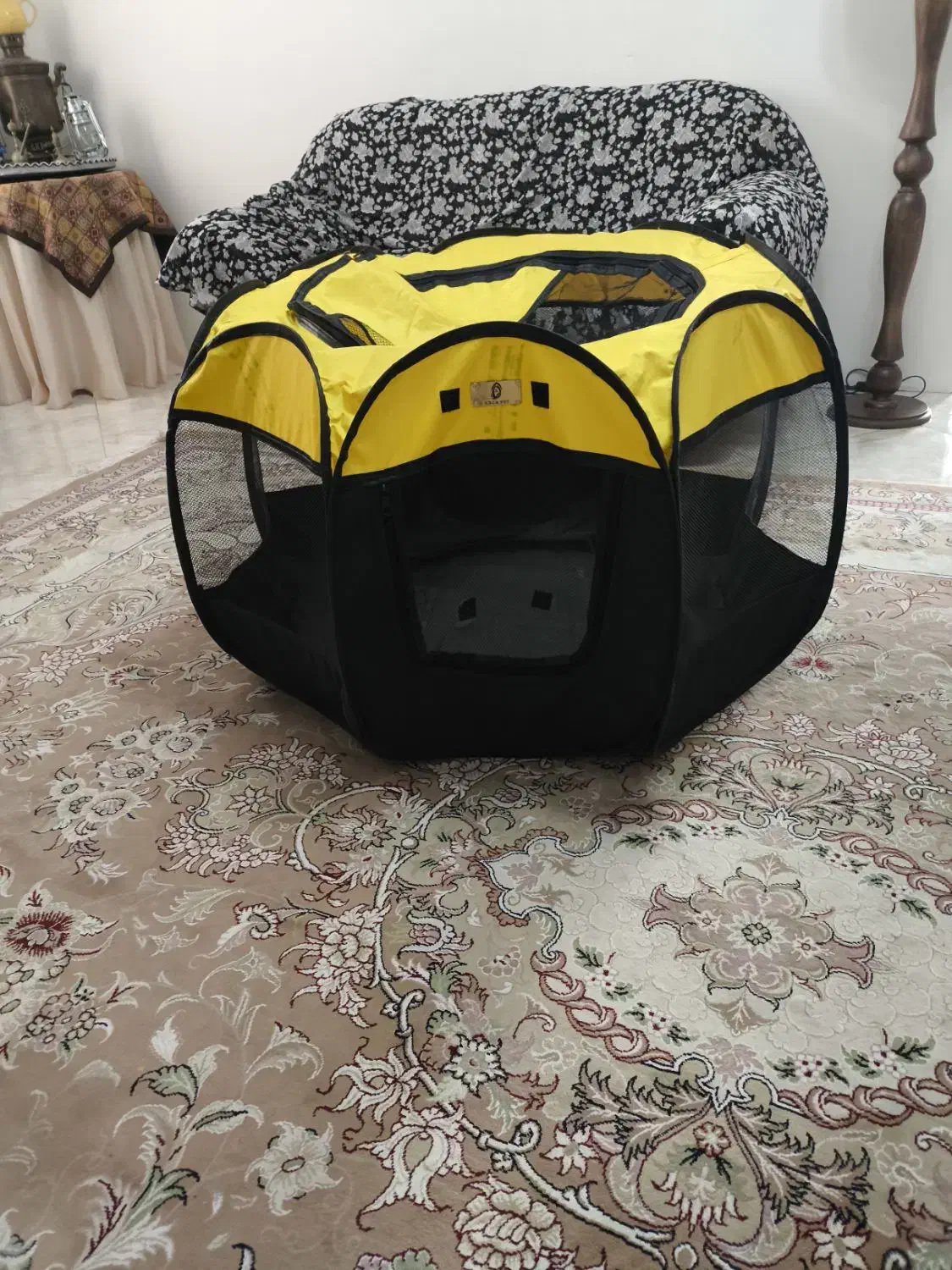 پارک سگ|لوازم جانبی حیوانات|رودهن, |دیوار