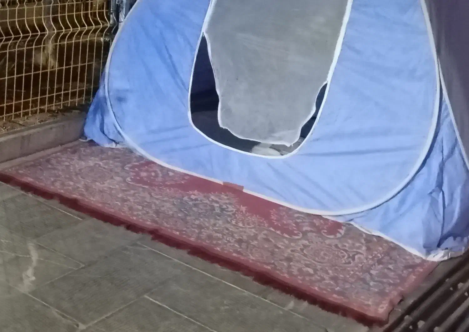 فرش روفرشی گمشده|اشیا|بجنورد, |دیوار