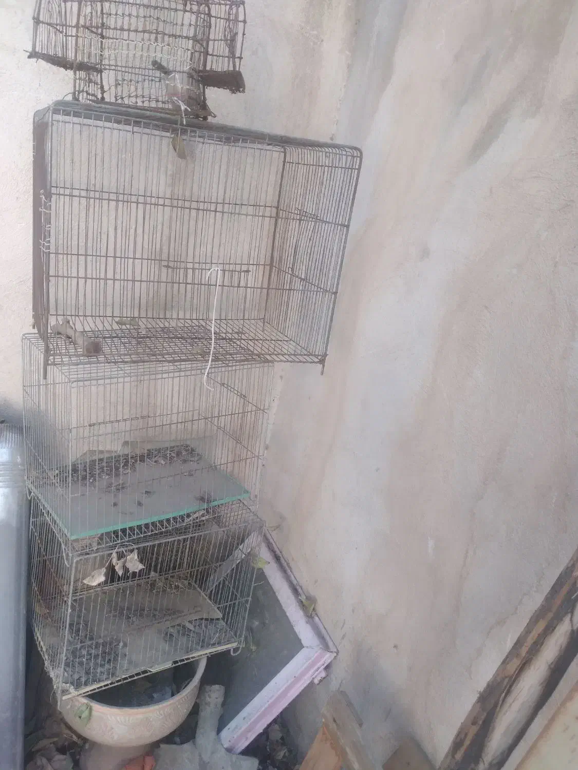 فروش تعدادی قفس|لوازم جانبی حیوانات|تویسرکان, |دیوار
