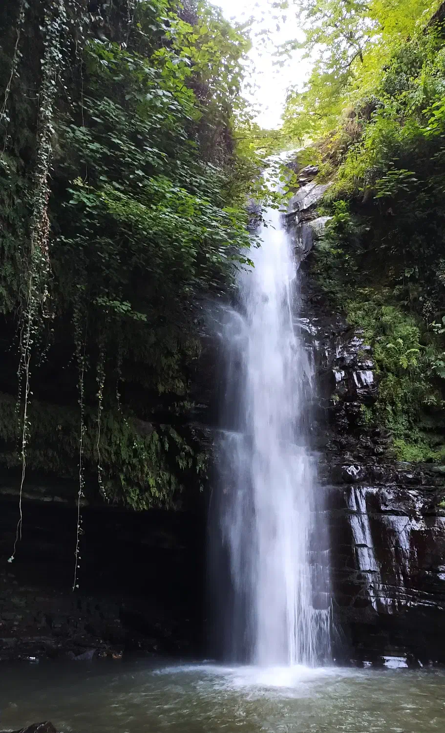 لیدر گیلانگردی|تور و چارتر|رشت, گیل|دیوار