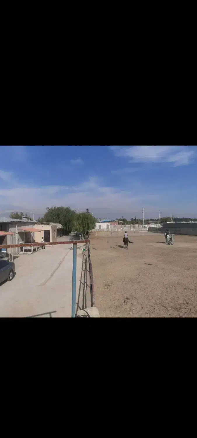 پانسیون باشگاه سوارکاری دهقان خرید فروش انواع اسب|اسب و تجهیزات اسب‌سواری|شهریار, اسکمان|دیوار