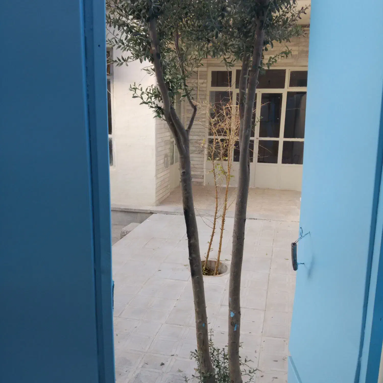 اجازه منزل حیاط دار قدیمی ولی قابل سکونت|اجارهٔ خانه و ویلا|ابریشم, |دیوار