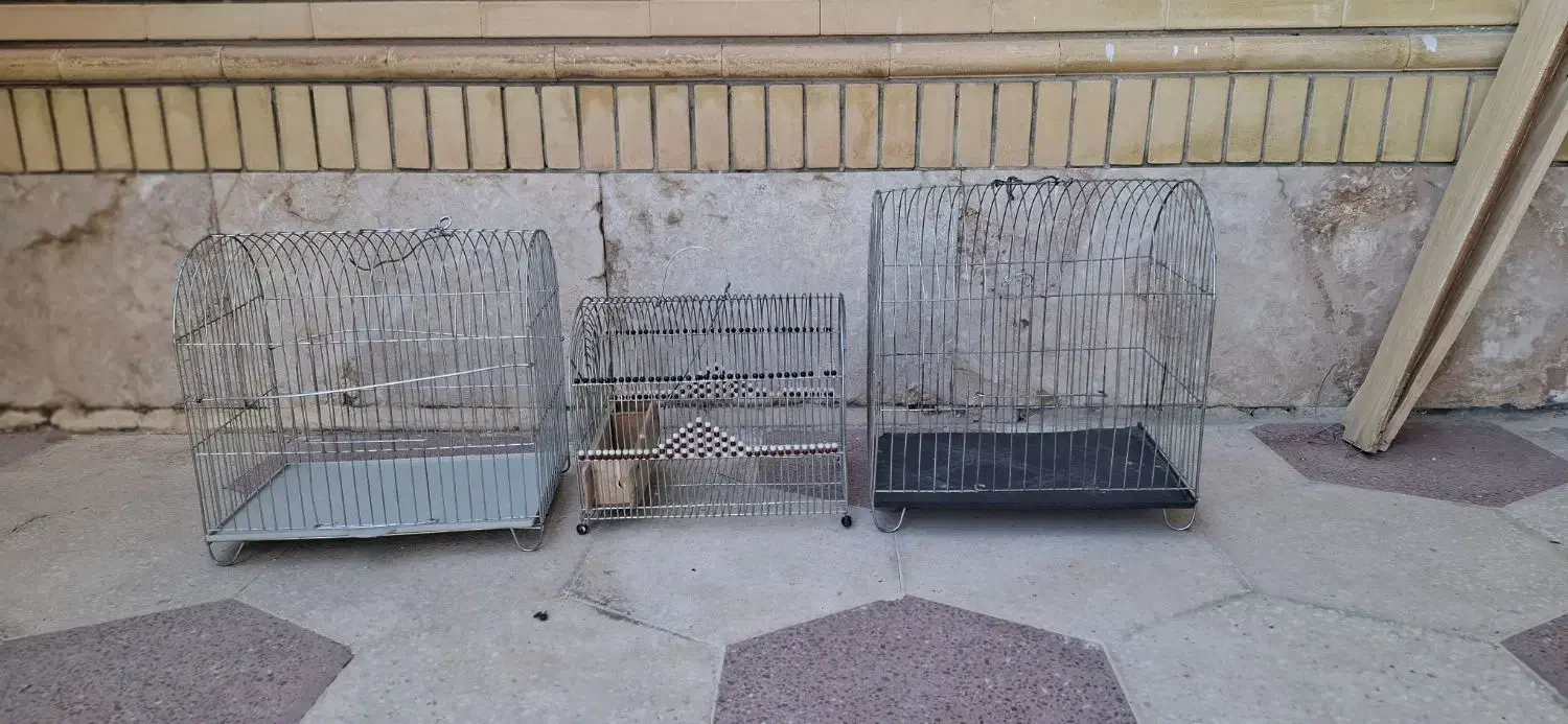 قفس سهره|لوازم جانبی حیوانات|شیراز, شهرک گلستان|دیوار