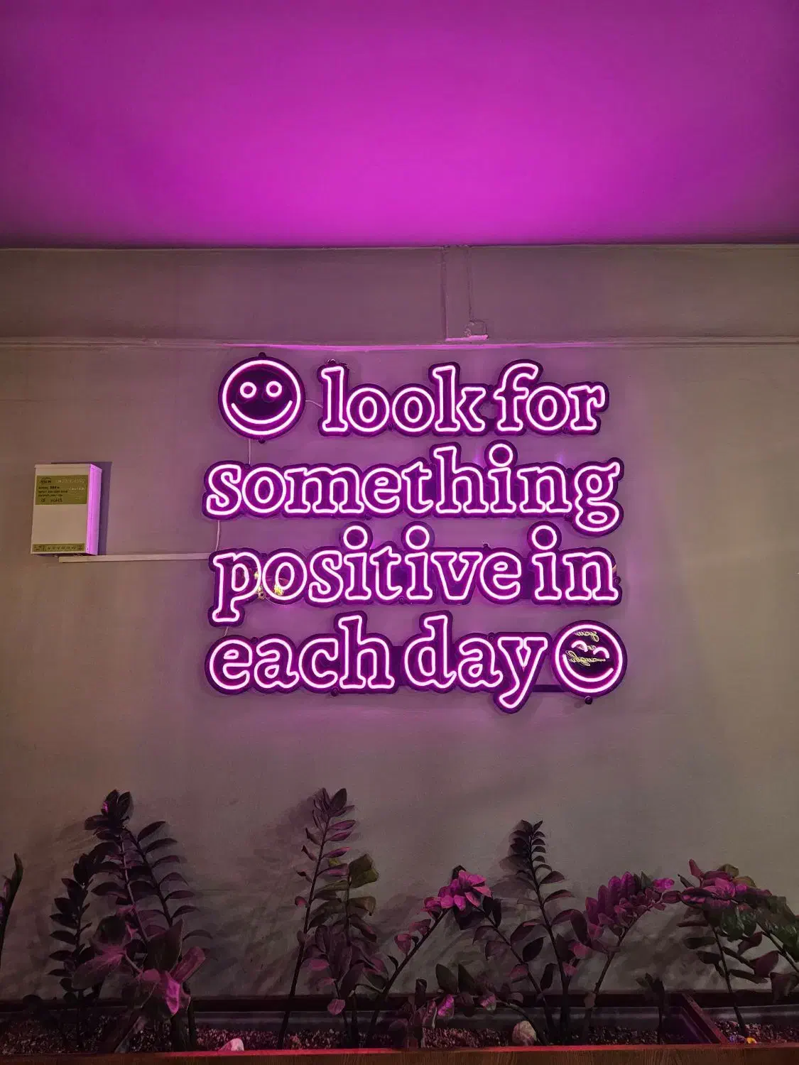 تابلو نئون|ریسه و چراغ تزئینی|شاهینشهر, خانه کارگر|دیوار