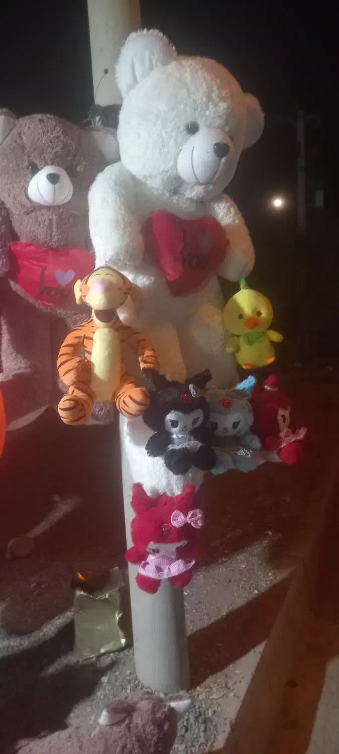 عروسک پولیشی|اسباب‌بازی بچه|فسا, |دیوار