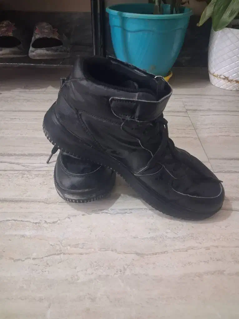 کفش ترک|کیف، کفش، کمربند|ارومیه, |دیوار