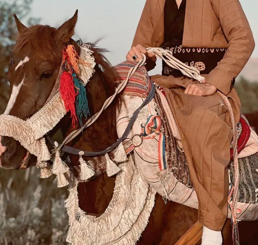 اسب نریان ۵ساله|اسب و تجهیزات اسبسواری|ارومیه, |دیوار