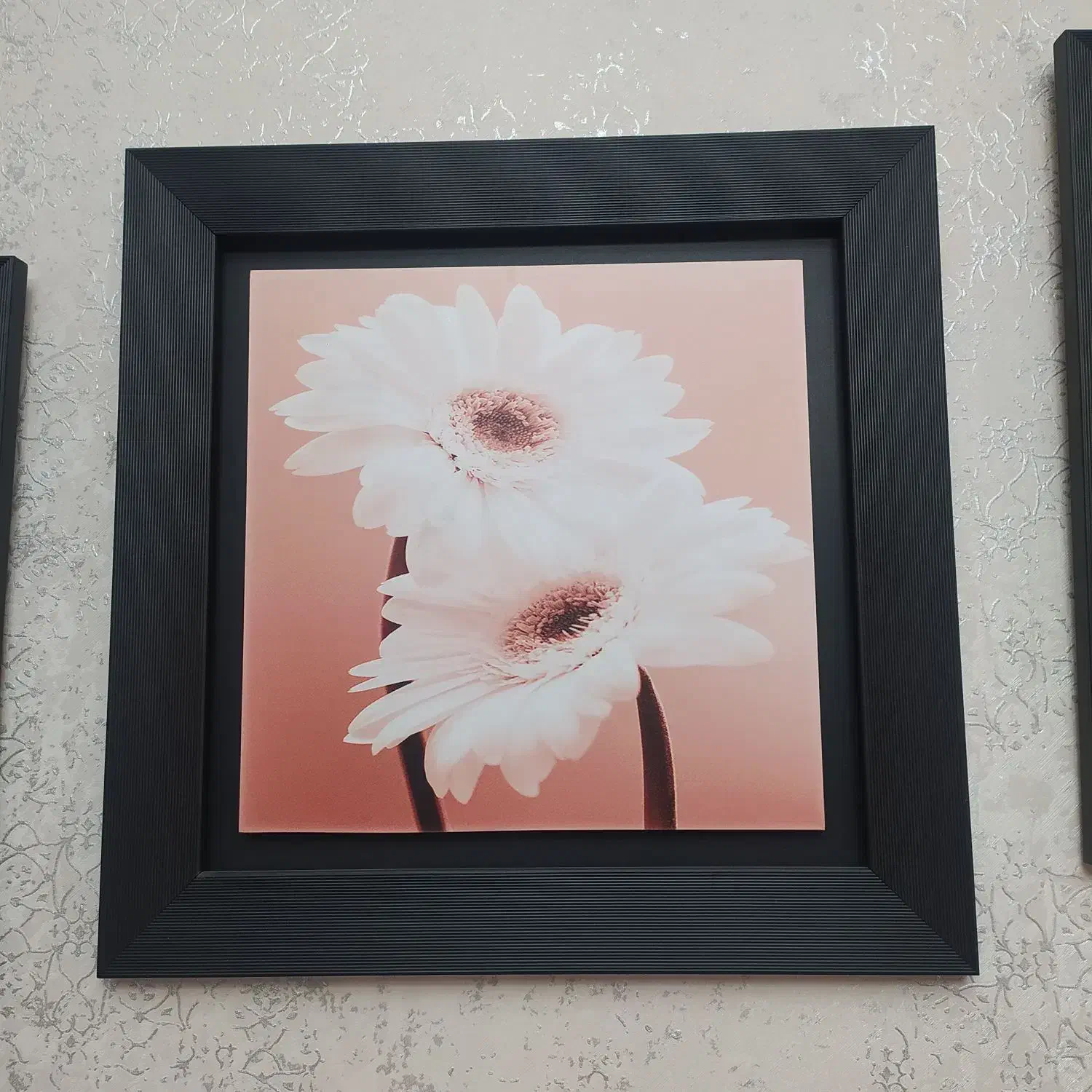 سه عدد تابلو دیواری طرح مدرن و شیک|تابلو، نقاشی، عکس|ملایر, |دیوار