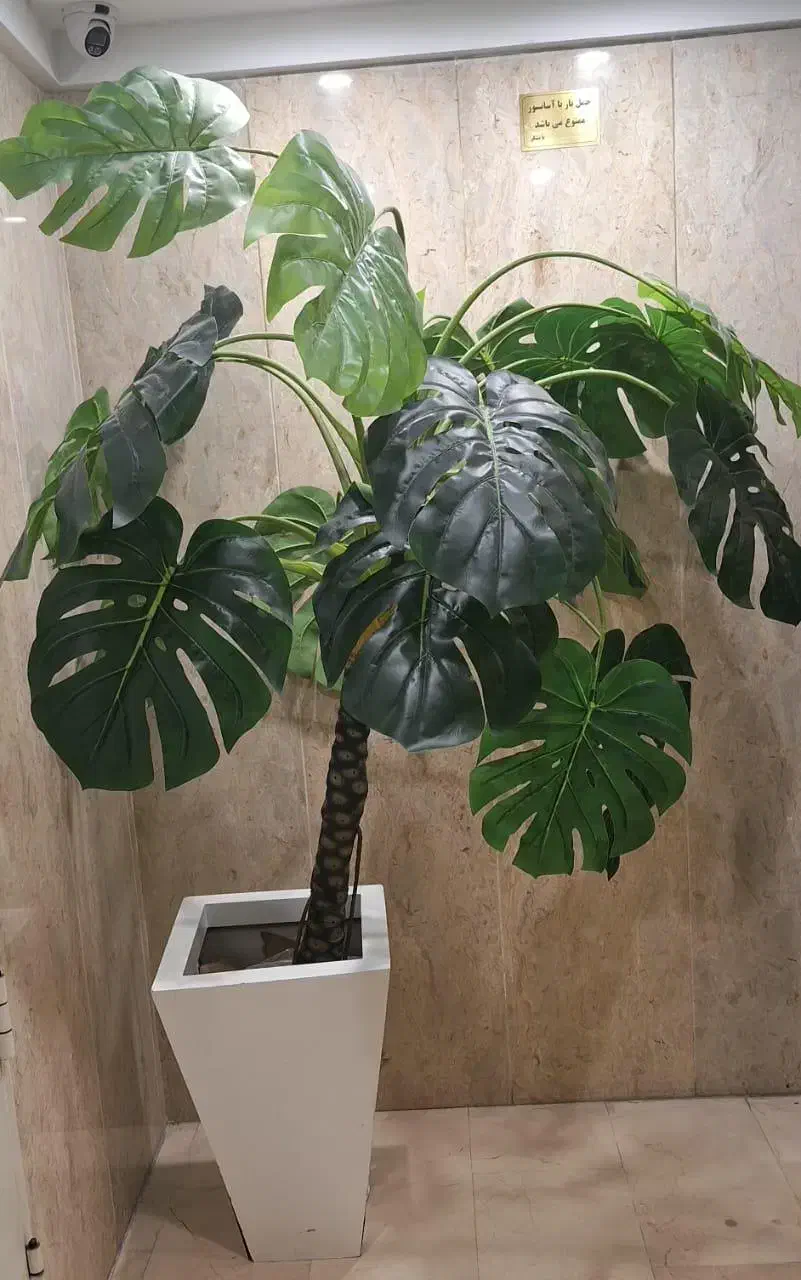 درخچه مصنوعی|گل مصنوعی|تهران, علم و صنعت|دیوار