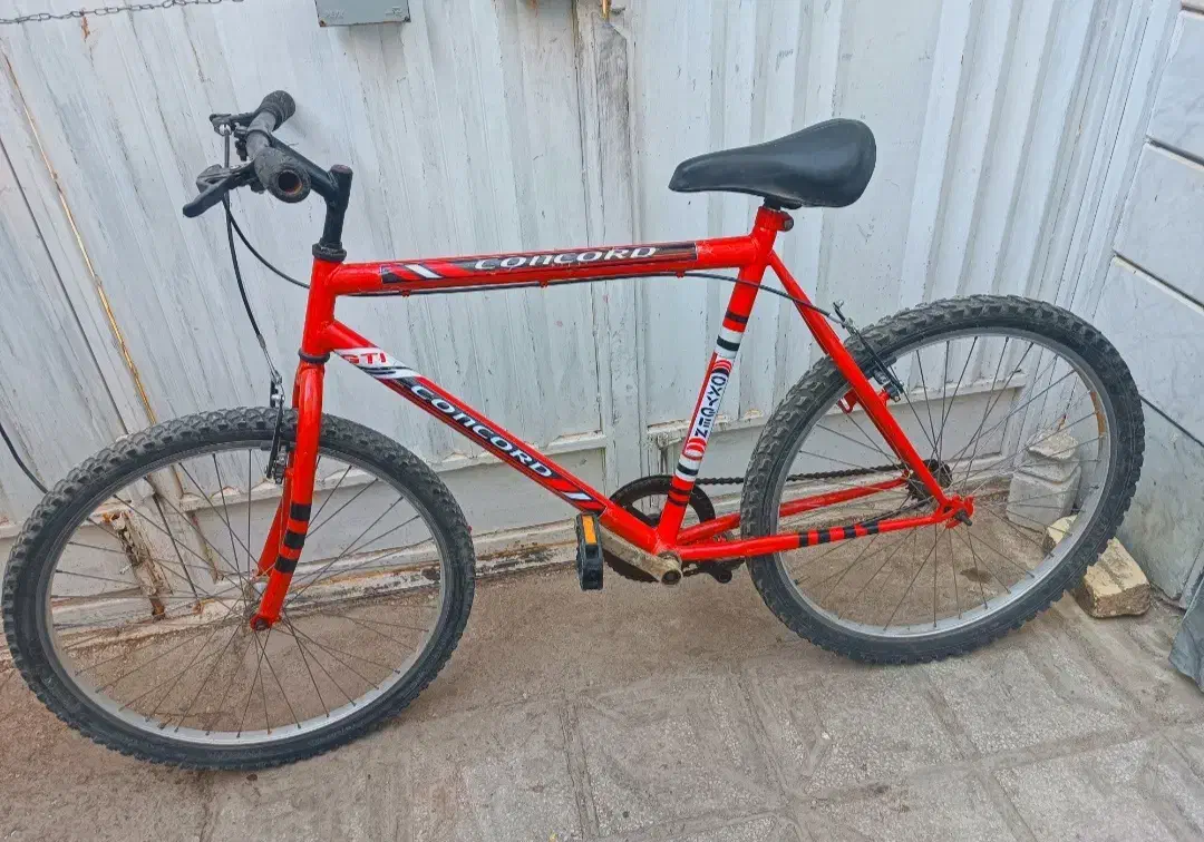 دوچرخه ۲۶تنه بزرگ سرعتی.|دوچرخه، اسکیت، اسکوتر|نی‌ریز, |دیوار