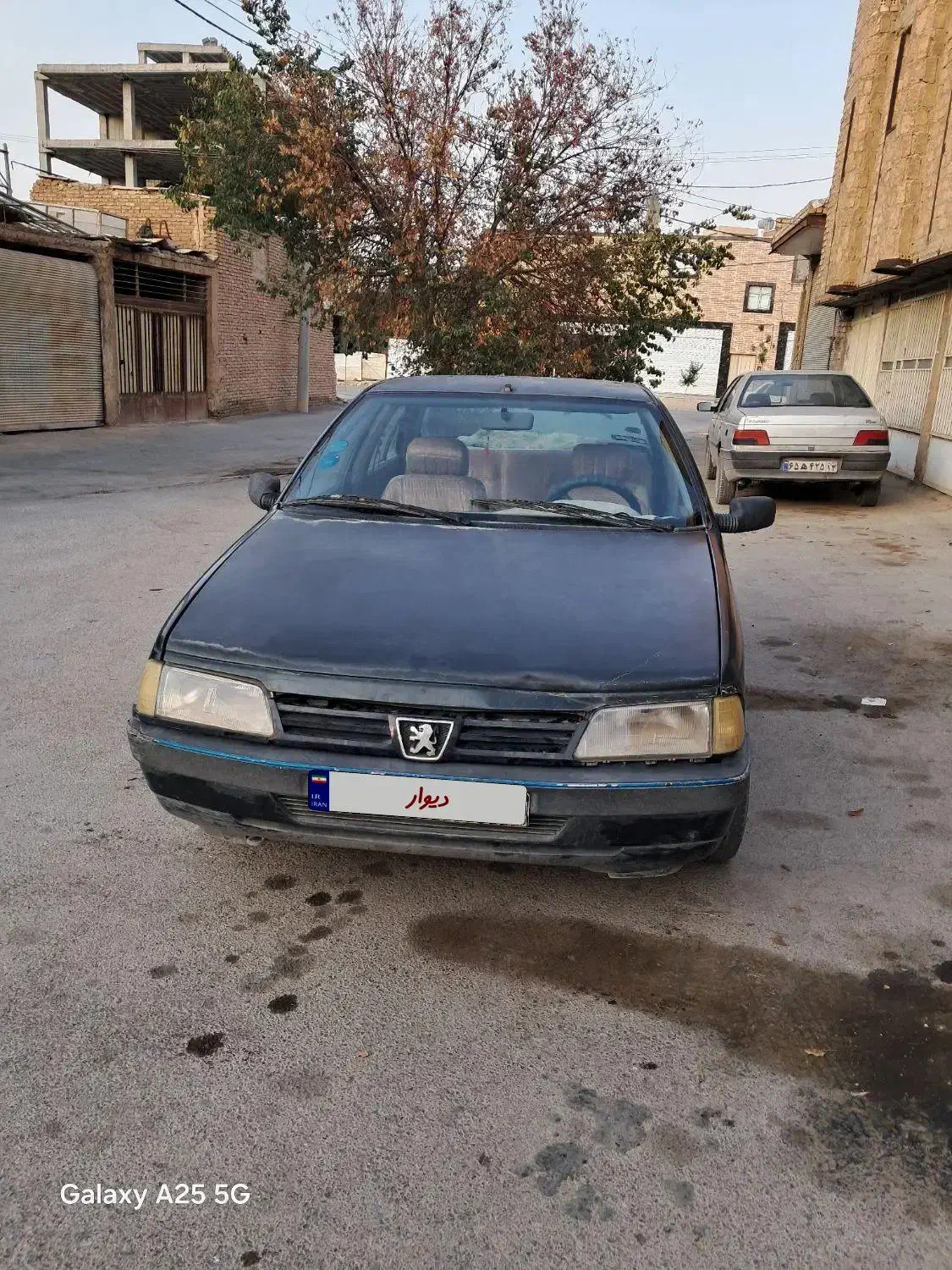 پژو Glx مدل ۸۳ دوگانه cng|خودرو سواری و وانت|نجف‌آباد, بازار|دیوار