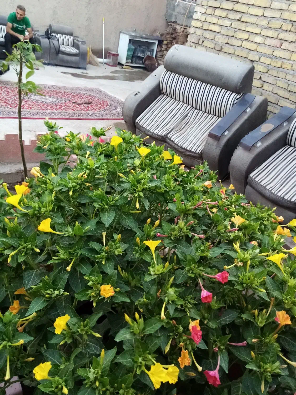 خانه کلنگی|فروش خانه و ویلا|تاکستان, |دیوار