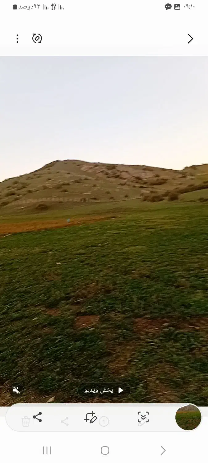 خاک پیت|گل و گیاه طبیعی|نمین, |دیوار