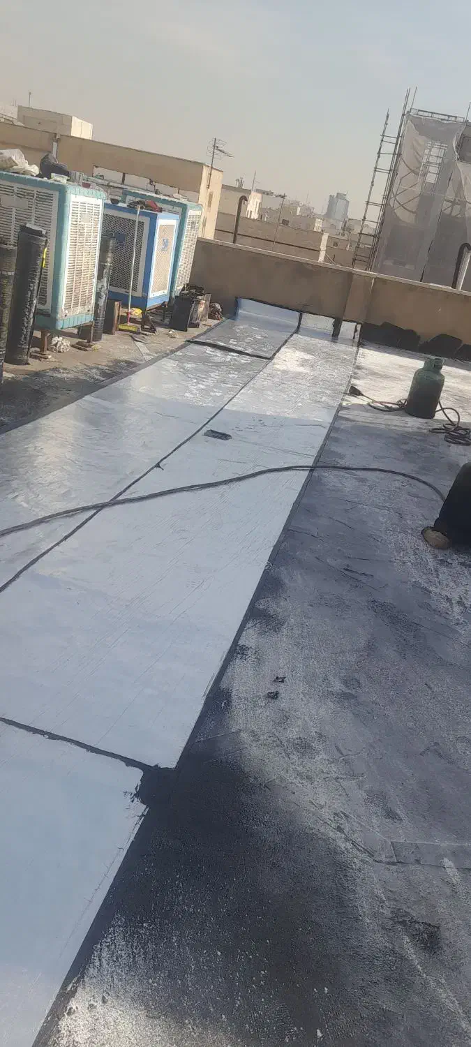 دکتر ایزوگام|خدمات پیشه و مهارت|کرج, گلشهر|دیوار