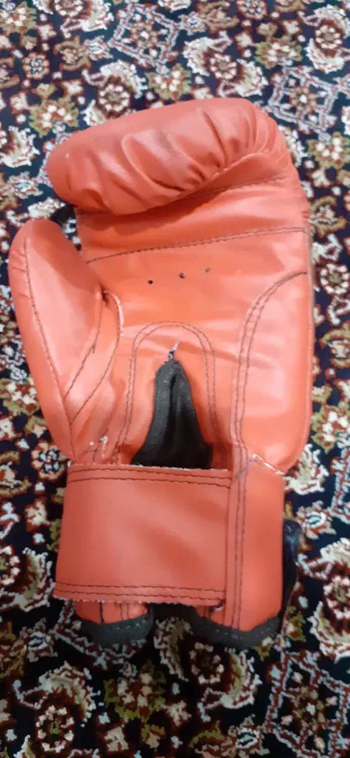 دستکش بوکس|تجهیزات ورزشی|اردبیل, |دیوار