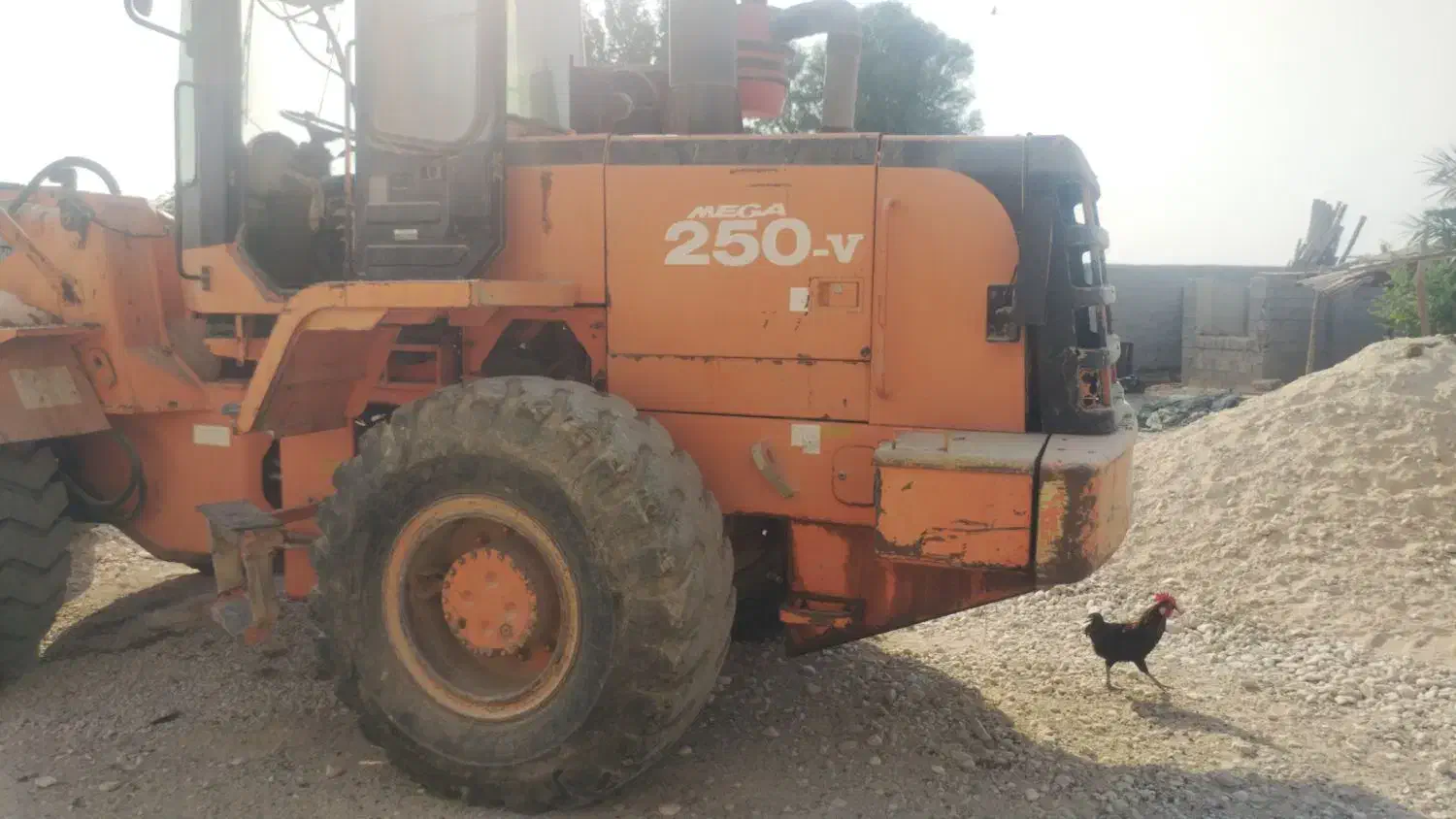 لودر دوو 250 مدل 2004|خودرو سنگین|برازجان, |دیوار