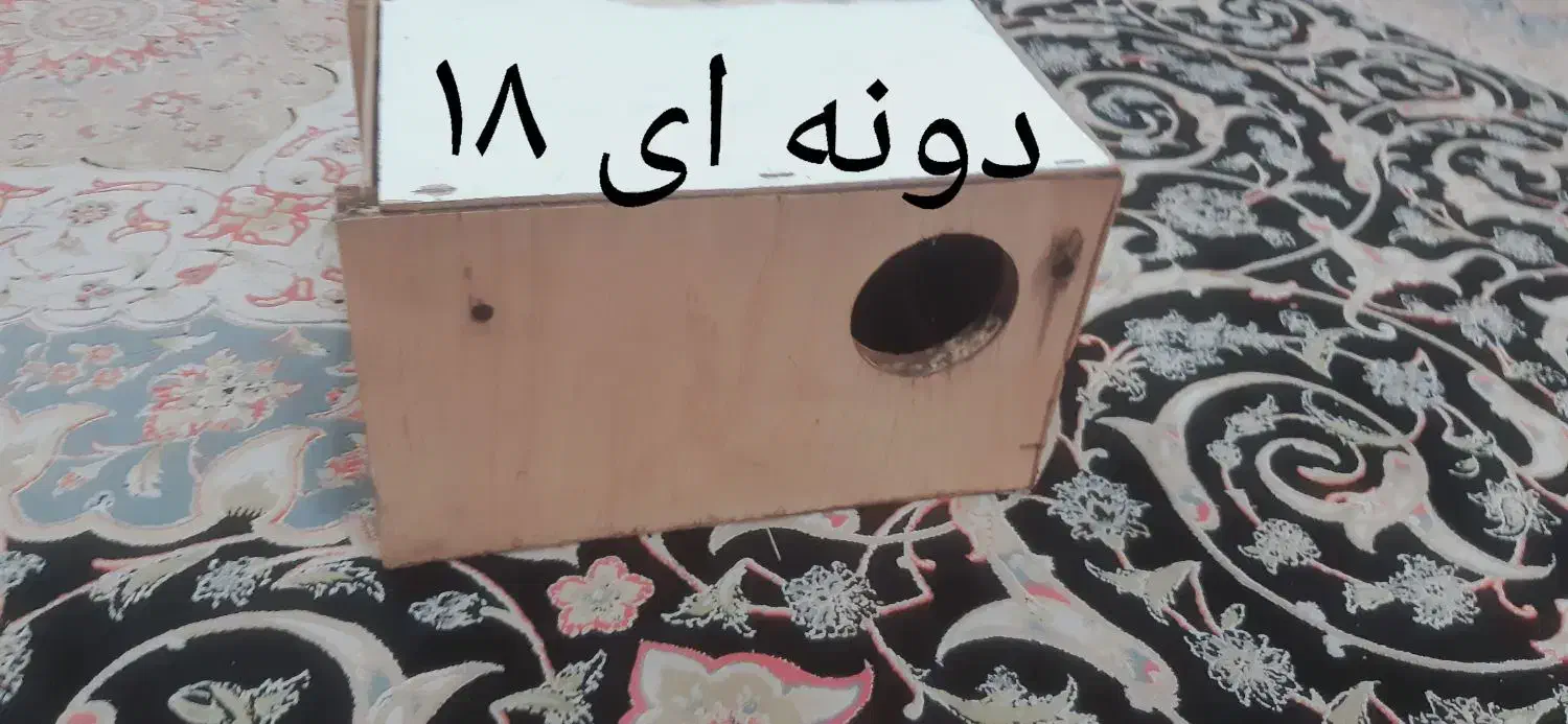 لوازم پرنده|لوازم جانبی حیوانات|مشهد, اروند|دیوار