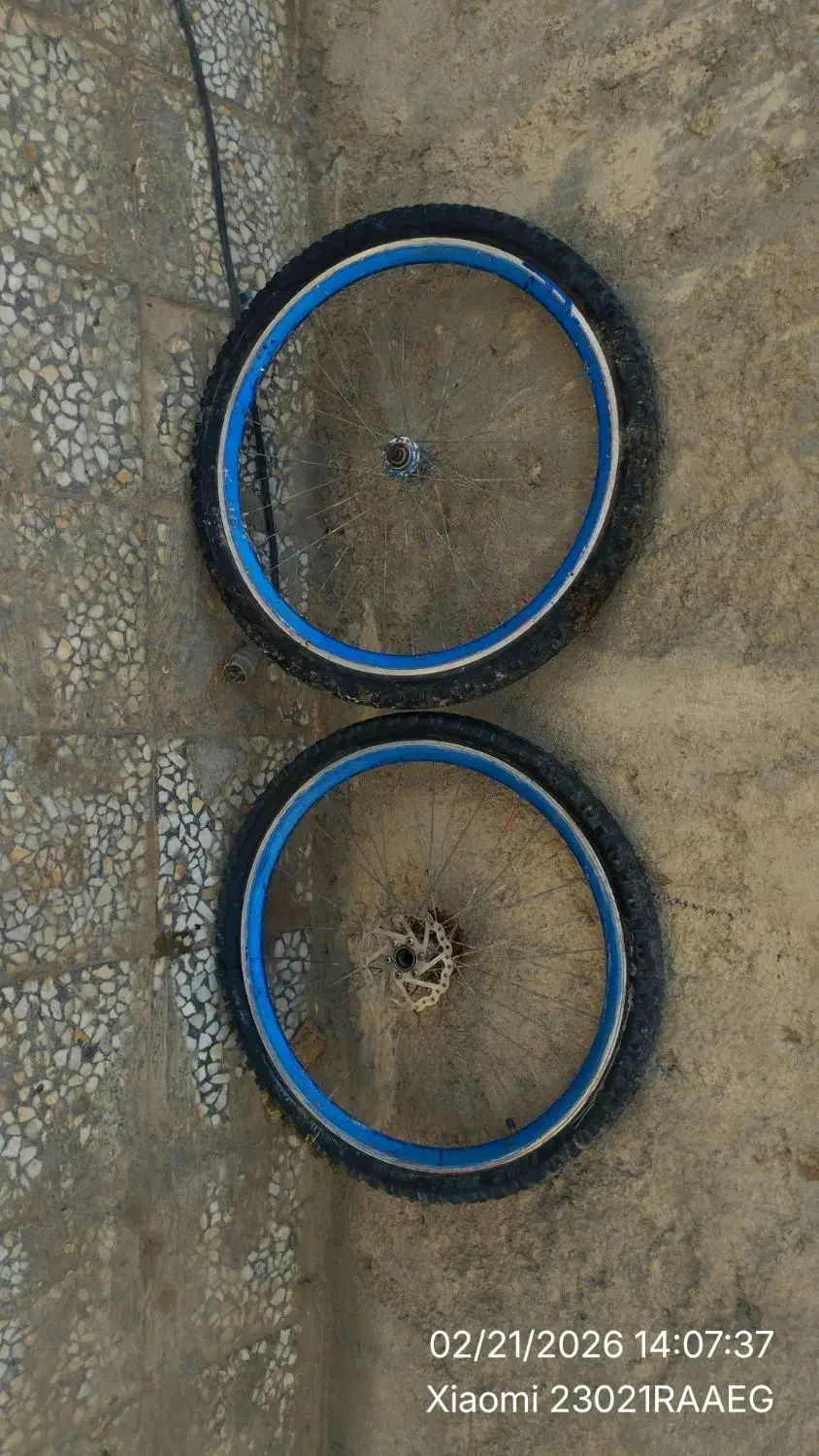 دوچرخه ۲۶|دوچرخه، اسکیت، اسکوتر|نیمروز, |دیوار