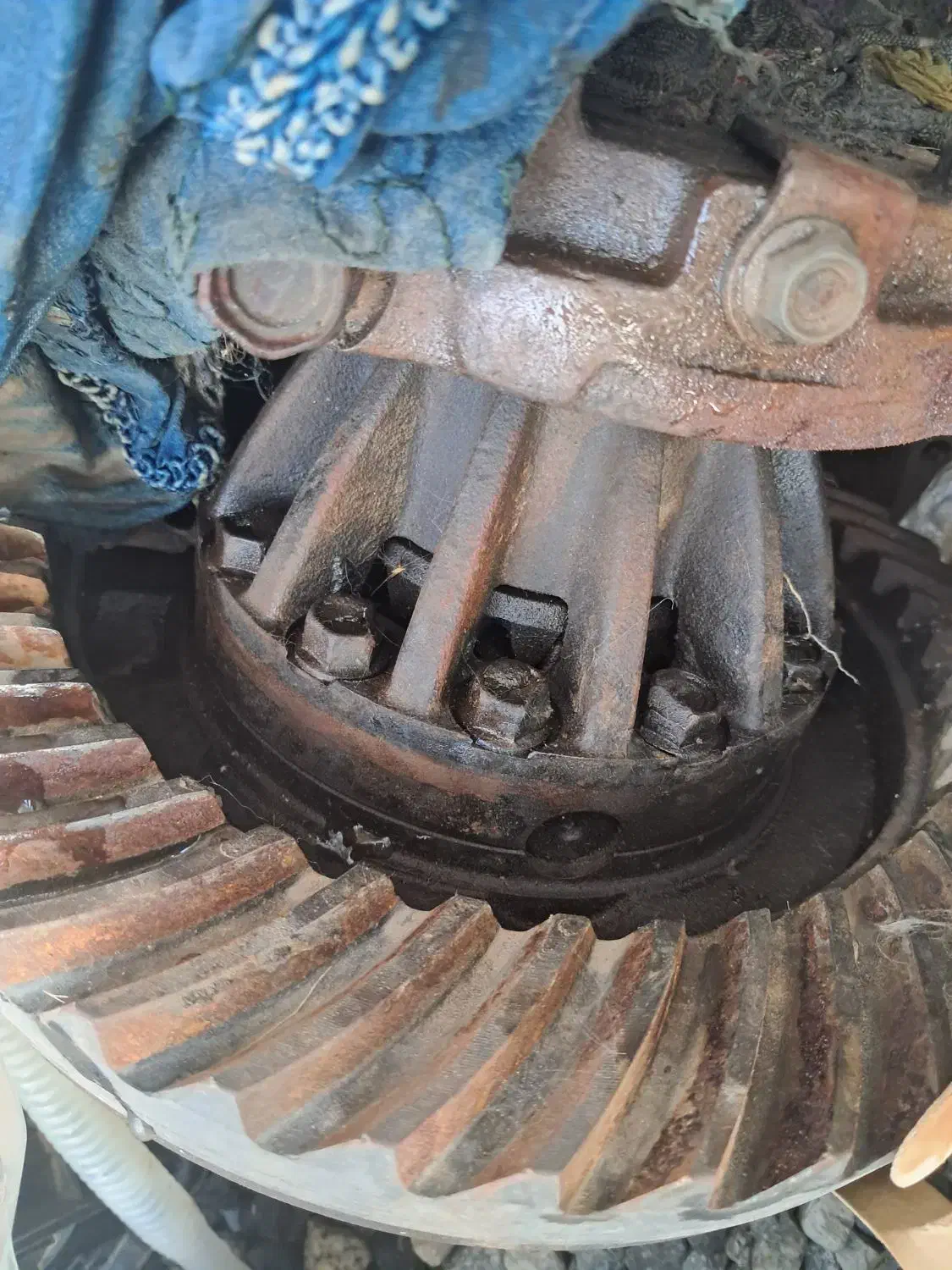 کله گاوی ایسوزو و سوپر|قطعات یدکی و لوازم جانبی|جیرفت, |دیوار