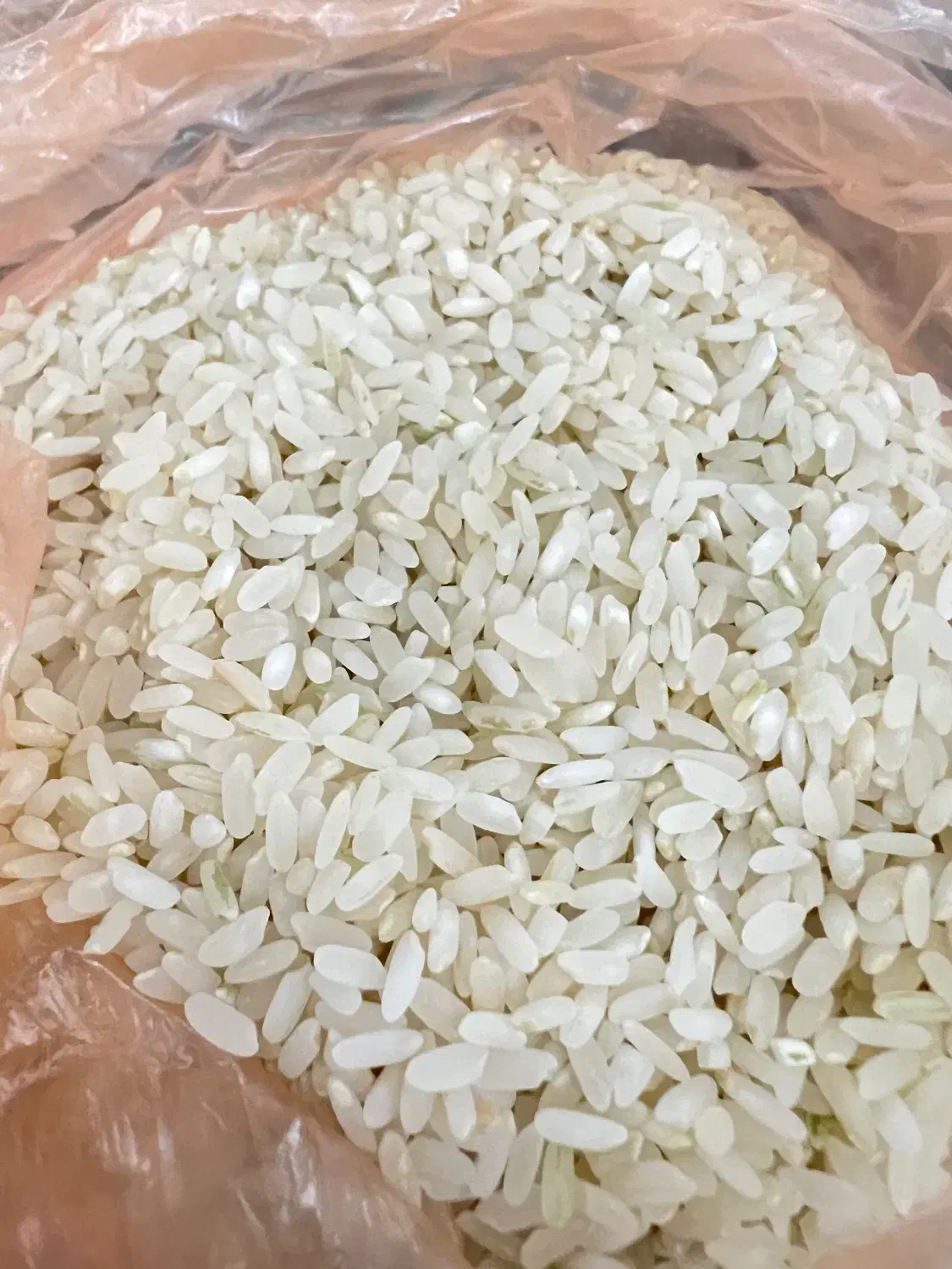 برنج کامفیروزی نو|خوردنی و آشامیدنی|شیراز, فرهنگ شهر|دیوار