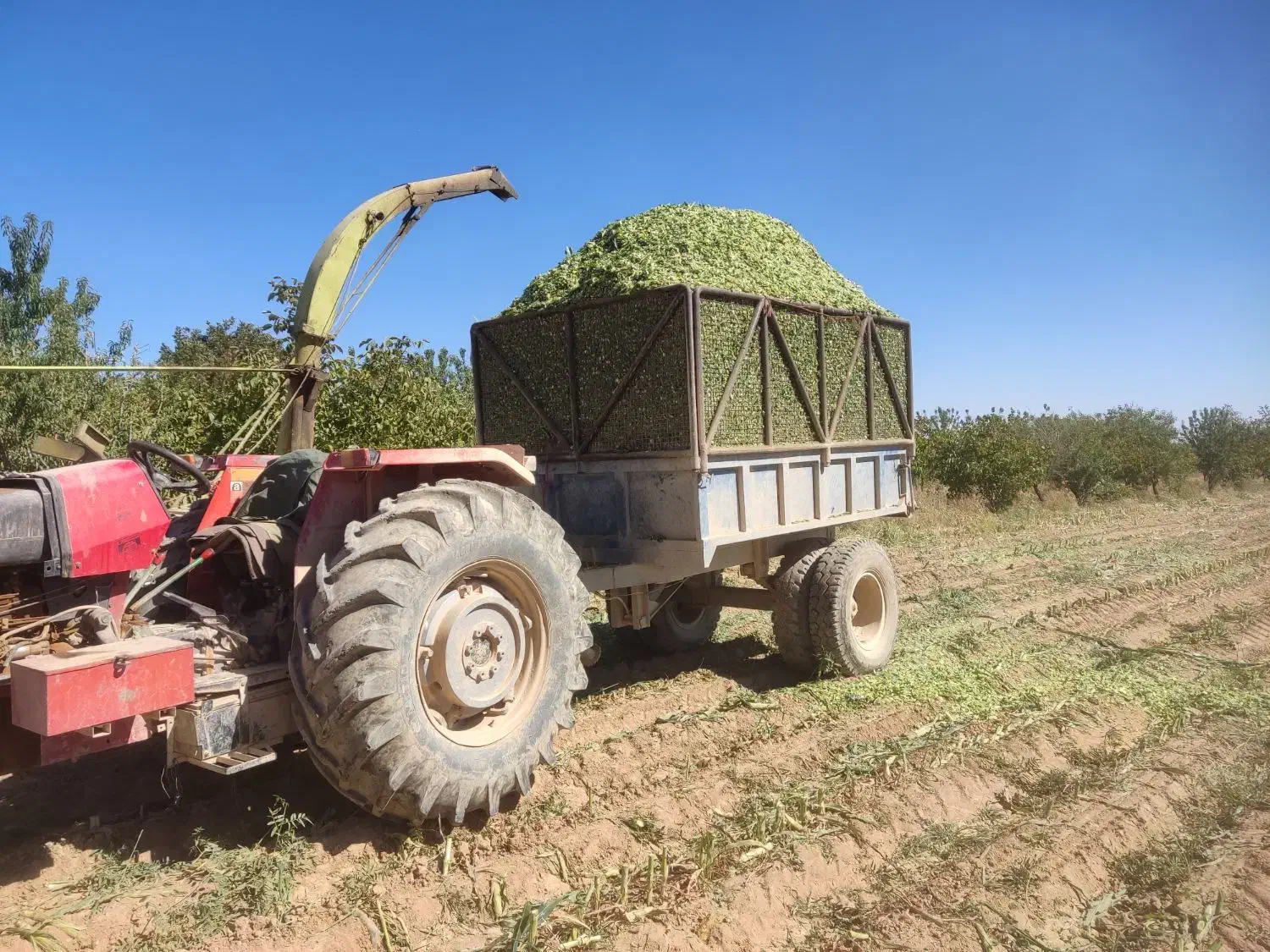 فروشی|ماشینآلات صنعتی|عسگران, |دیوار