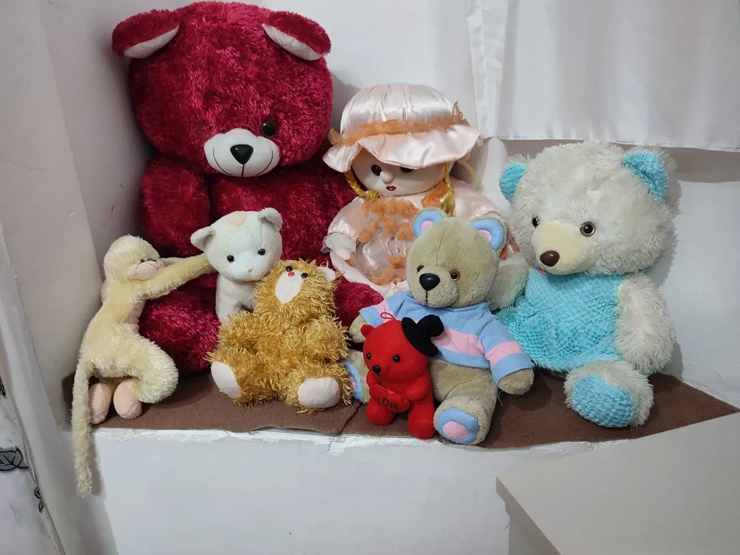 تعدادی عروسک|اسباب‌بازی بچه|تربت‌حیدریه, آغوی|دیوار