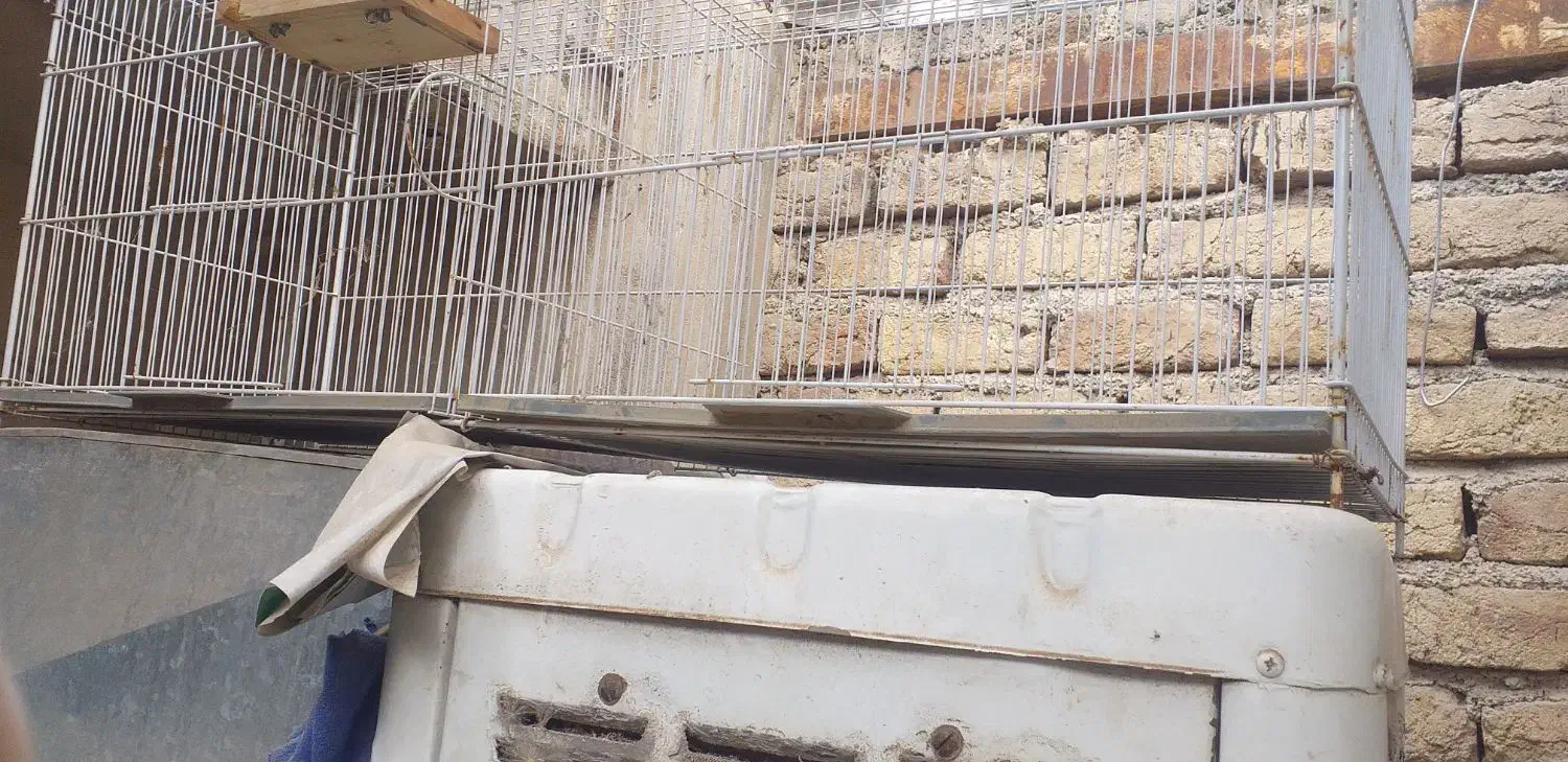 قفس|لوازم جانبی حیوانات|کرمانشاه, |دیوار