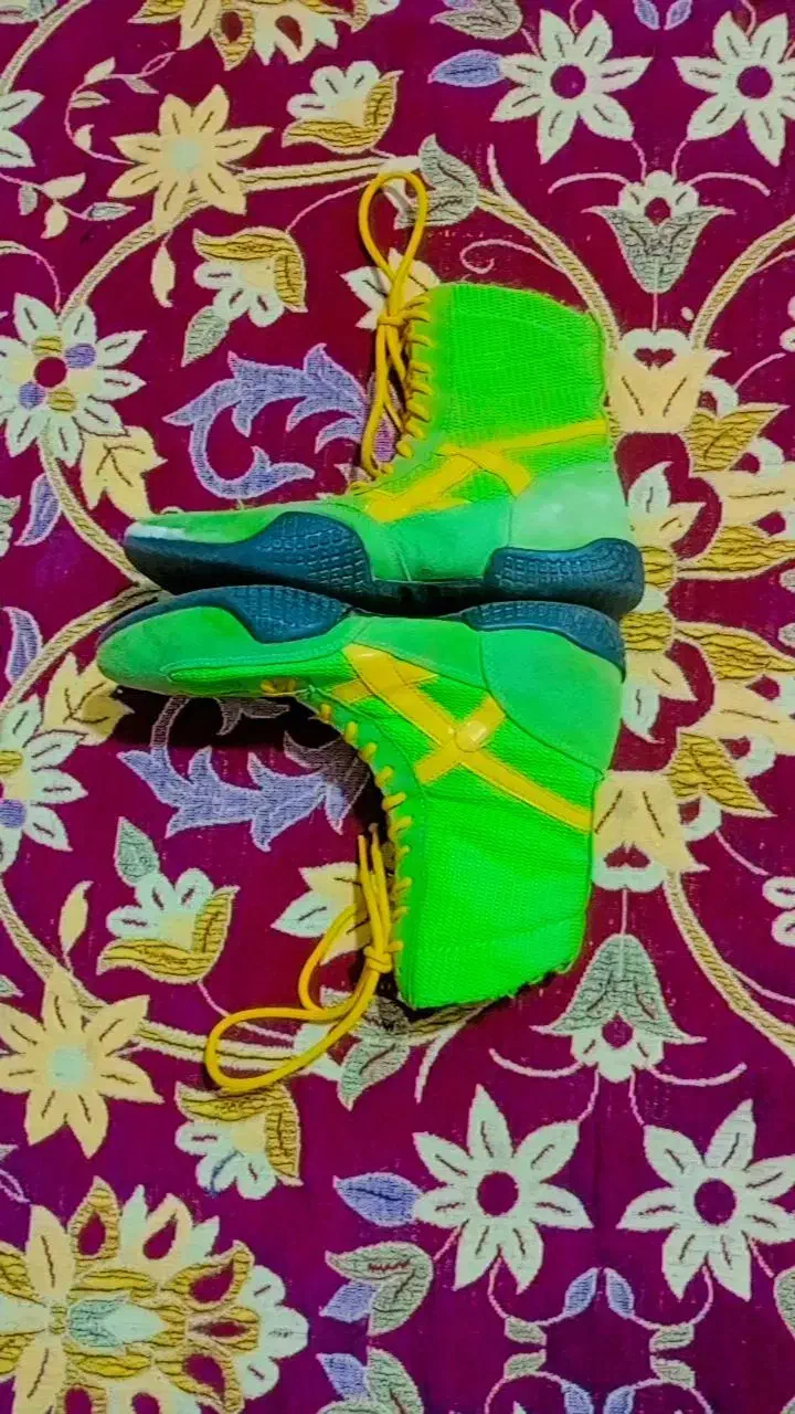 کفش کشتی|کیف، کفش، کمربند|مینودشت, |دیوار