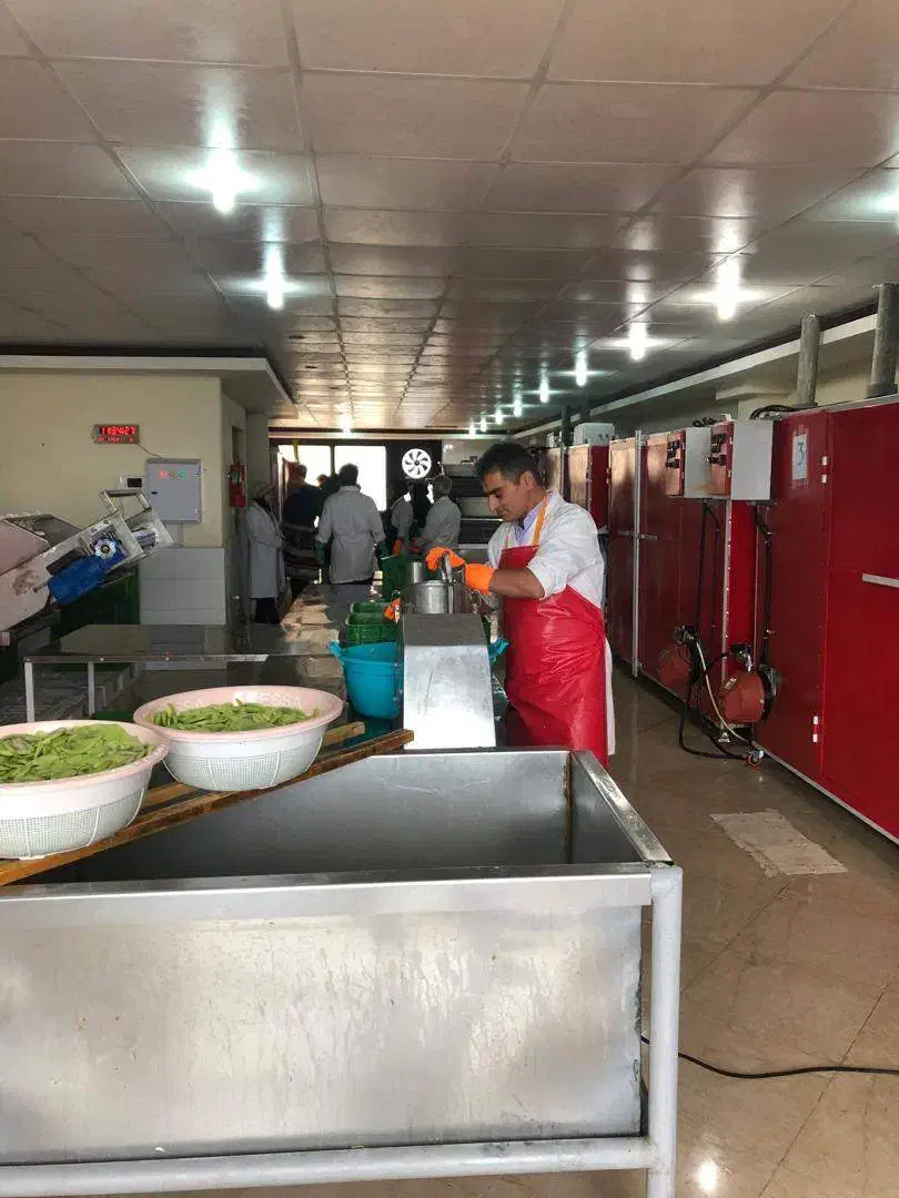 اجاره کارخانه تولید چیس میوه وسبزی و فرنچ فرایزر|اجارهٔ دفتر صنعتی، کشاورزی، تجاری|نوشهر, |دیوار