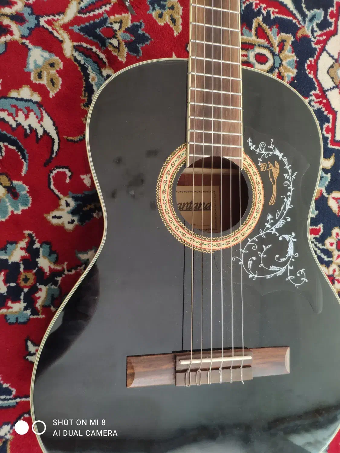 گیتار سانتانا|گیتار، بیس، امپلیفایر|کرمانشاه, |دیوار