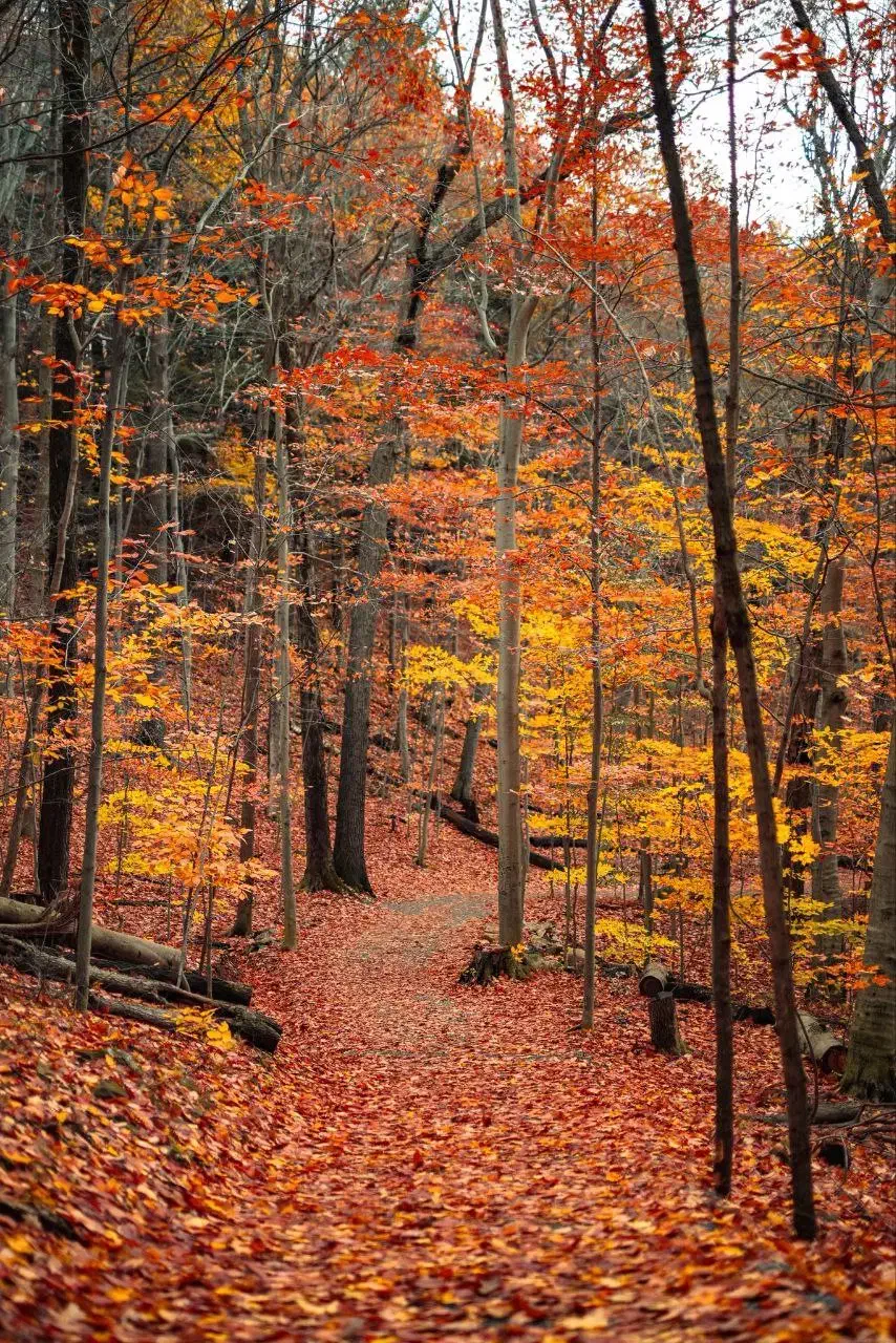 تدریس خصوصی|خدمات آموزشی|بیجار, |دیوار